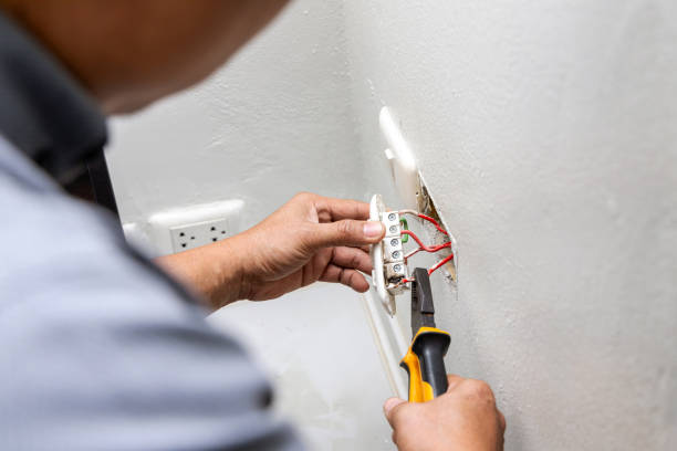 Best Electric Panel Repair  in Madison Heights, VA
