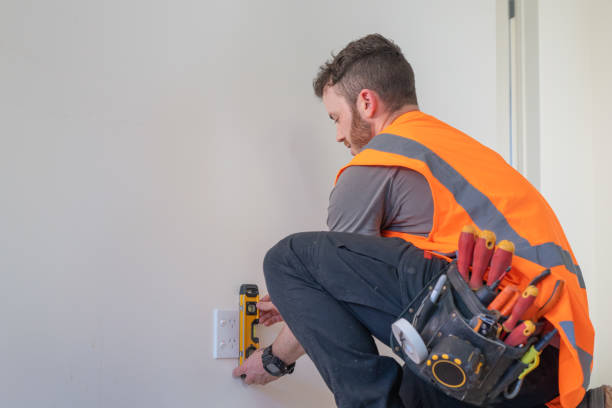 Best Electric Panel Repair  in Madison Heights, VA
